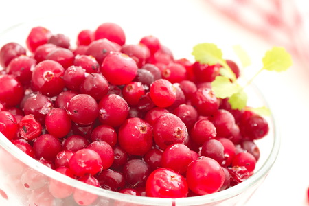 Frozen cranberry in a glass bowlの写真素材