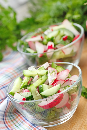 Vegetarian salad with radishes, cucumbers and olive oilの写真素材