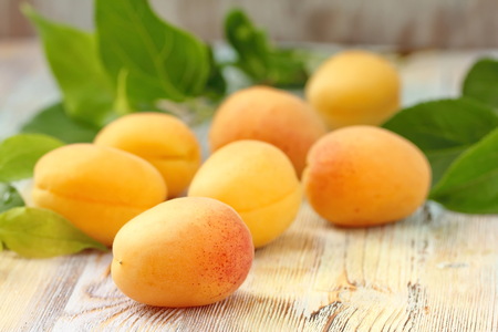 Ripe sweet apricots on the tableの写真素材