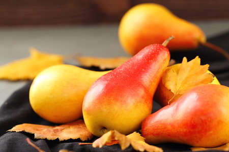 Harvest of autumn pears on the tableの写真素材