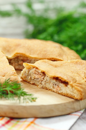Homemade pie with salmon and riceの写真素材