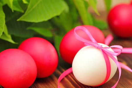 Colored easter eggs on wooden backgroundの写真素材