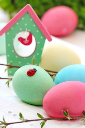 Colored eggs for Easter Sundayの写真素材