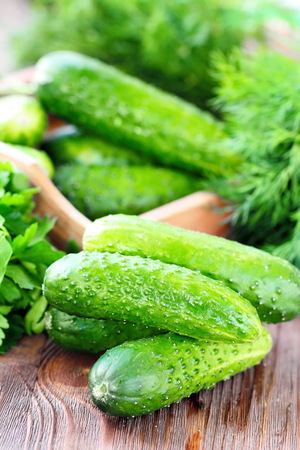 Ingredients for vegetable salad - fresh cucumbers and greensの写真素材