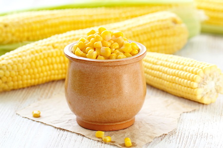 Seeds of canned sweetcorn in a bowlの写真素材
