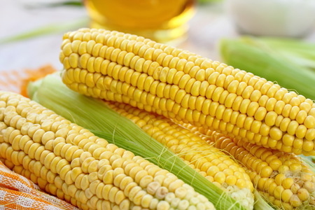 Fresh corn in husk on the table ready for eat