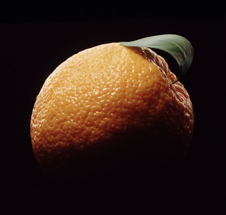 One orange, top-lit against black backgroundの写真素材