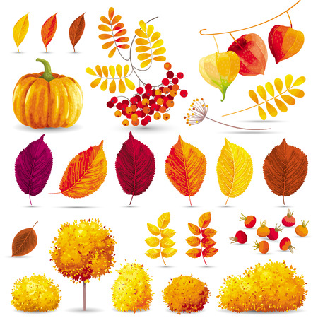 Autumn leaves, trees, bushes, berries and flowers set for seasonal events and salesのイラスト素材