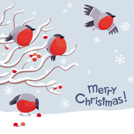 Funny Bullfinches and Rowan tree under the snowfall. Vector Christmas greeting card. For Christmas decoration, posters, banners, sales and other winter events.のイラスト素材