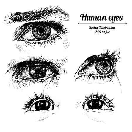 Human hands sketch illustrationのイラスト素材