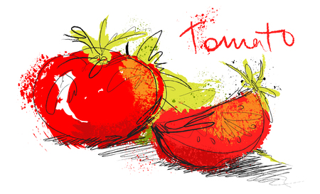 Vector sketch tomato illustration - slice tomatoes and salad isolated on white backgroundのイラスト素材