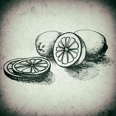 Lemon vintage illustration. Old dirty sketch - lemon juice and citrus elements with antique textureの写真素材