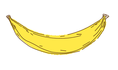 Banana vector illustration, sketch and doodle style, hand draw bananas isolated on white backgroundの写真素材