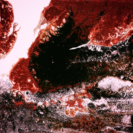 Liquid Acrylic paint, liquid artwork, abstract colorful background with colored painted cells, stains. Red colorsの写真素材