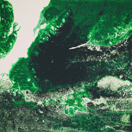 Liquid Acrylic paint, liquid artwork, abstract colorful background with colored painted cells, stains. Green retro colorsの写真素材