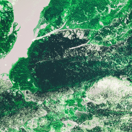 Liquid Acrylic paint, liquid artwork, abstract colorful background with colored painted cells, stains. Green retro colorsの写真素材