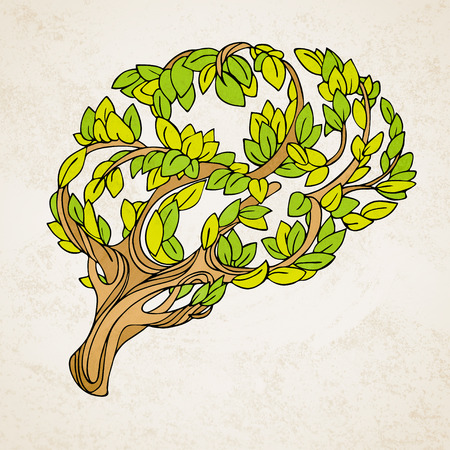 Healthy brain  concept illustration. Tree and leaves in form of brain. Hand draw helthy conceptual brain illustrationの写真素材
