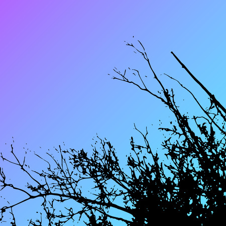 Vector grass and tree landscape silhouette. Realistic tree folliage silhouettes in night and evening sky. Outdoor nature scene, view at tree and night sky from belowのイラスト素材