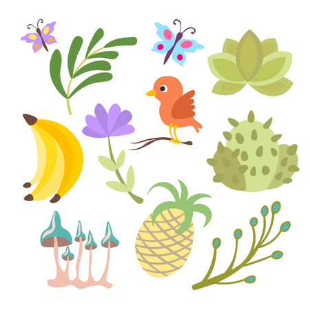 Vector cartoon cute set of savanna and tropical flowers, leaves and fruits isolated on white backgroundのイラスト素材