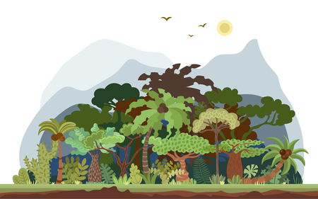 Vector tropical forest landscape with palms and other tropical trees. Tropical rainforest panoramic illustration. Flat vector design of tropical forest landscape in light green summer colors, isolated on white backgroundの写真素材
