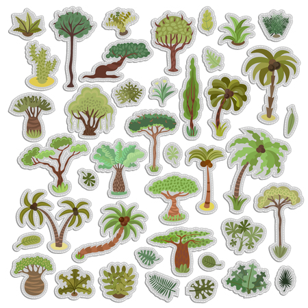 Collection of tropical trees, palms and other tropical exotic plants vector illustration set. Lush forest. Rainforest jungle trees, plants, shrubs and bushes, paradise beach resort crooked palm trees, trendy flat design isolated on white background.のイラスト素材