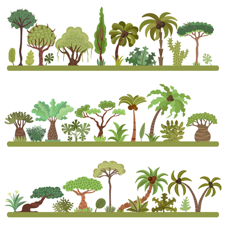 Collection of tropical trees, palms and other tropical exotic plants vector illustration set. Lush forest. Rainforest jungle trees, plants, shrubs and bushes, paradise beach resort crooked palm trees, trendy flat design isolated on white background.のイラスト素材