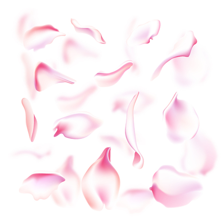 Vector set of pink rose and sakura petals. Blurred spring blossom petal set with decorative elements, stamen. Sakura petal set, blossom rose petals objects, petal element set with blured sakura petals isolatedのイラスト素材