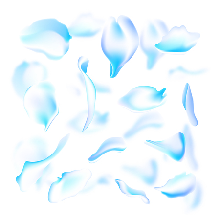 Vector set of blue rose and sakura petals. Blurred spring blossom petal set with decorative elements, stamen. Sakura petal set, blossom rose petals objects, petal element set with blured sakura petals isolatedのイラスト素材