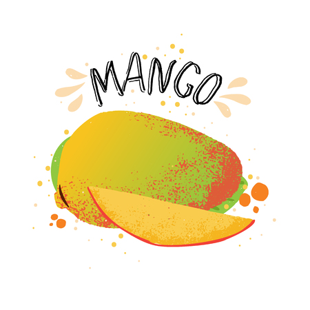 Vector hand draw mango illustration. Yellow ripe mango with juice splash isolated on white background. Textured mango slice and splashes, juice tropical fruit with word Mango on top. Fresh silhouette fruit of Mangoes.のイラスト素材