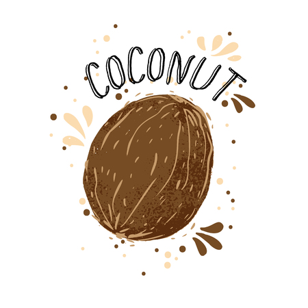 Vector hand draw coconut illustration. Brown coconuts with juice splash isolated on white background. Textured white and brown coconut with milk splashes, juice tropical fruit with word Coconut on top. Fresh silhouette fruit of Coconutsのイラスト素材