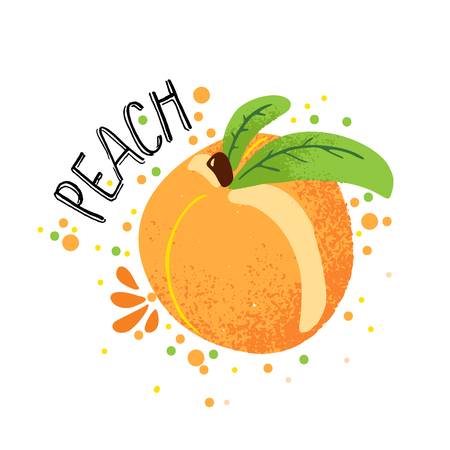 Vector hand draw peach illustration. Orange ripe peaches with juice splash isolated on white background. Textured peach with splashes, juice tropical fruit with word Peach on top. Fresh silhouetteのイラスト素材