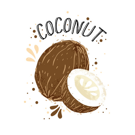 Vector hand draw coconut illustration. Brown coconuts with juice splash isolated on white background. Textured white and brown coconut with milk splashes, juice tropical fruit with word Coconut on top. Fresh silhouette fruit of Coconutsのイラスト素材