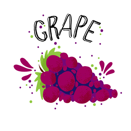 Vector hand draw red grape illustration. Blue grapes with juice splash isolated on white background. Textured grape with splashes, juice tropical fruit with word Grapes on top. Fresh textured silhouette fruit of grape.のイラスト素材