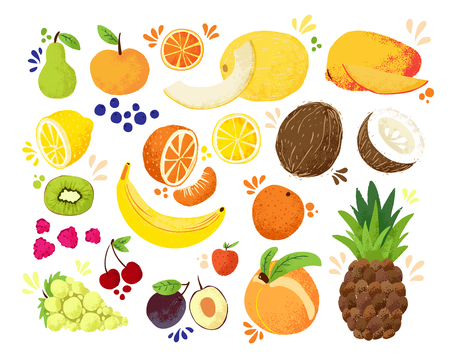 Set of colorful hand draw fruits tropical sweet fruits, and citrus fruit illustration. Apple, pear, orange, banana, pineapple, grapes, lemon, mango. Vector colored sketch illustration, isolated on white. Juicy Fruit and Berriesのイラスト素材