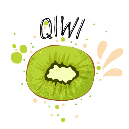 Vector hand draw qiwi illustration. Green qiwi with juice splashes isolated on white background. Textured green qiwies sketch, juice fruit with word Qiwi on top. Fresh silhouette fruit of Qiwiesのイラスト素材