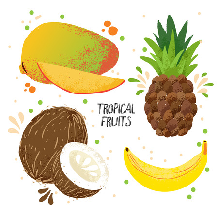 Hand draw vector set of tropical fruits - mango, banana, pineapple and coconut isolated on white background. Tropical fruits collection with juice splashes. Ripe tropical fruits set, mangoes, coconuts, bananas and pineapplesのイラスト素材