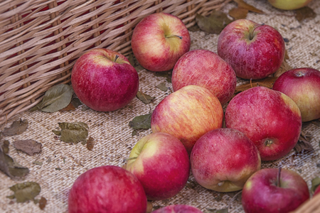 Fresh red apples texture. Fresh apple lying on the counter in straw basket - orange and red texture with fresh fruits - apple with green leaves in basketの写真素材
