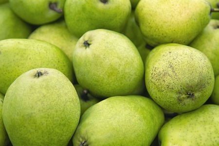 Fresh green pear texture. Fresh pears lying on the counter - green and yellow texture with fresh fruits - pear green textureの写真素材
