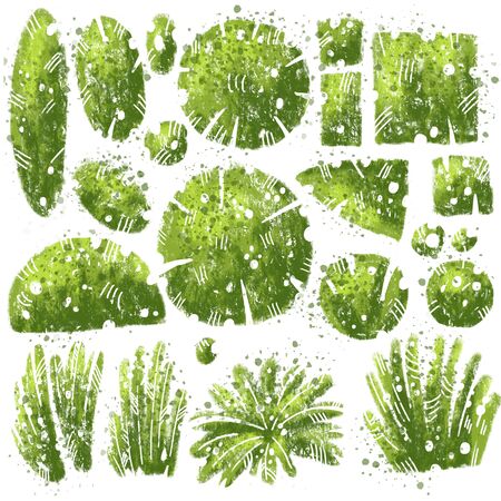 Tropical and middle lane textured leaves and bushes set with expressive watercolor splashes and grunge texture. Isolated bush and leaf collection on white background. Green bushes for architectural landscape designの写真素材