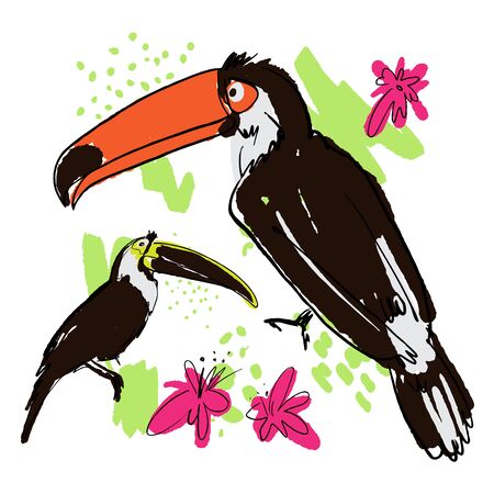 Vector hand draw illustration of tropical birds - carrots, toucans with paint drops, abstract elements and pink tropic flowers, isolated on white background. Sketched hand draw tropic bird toucanのイラスト素材