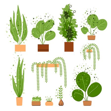 Vector flat interior house and office plant set. House and office trees and plants collection isolated on white. Cozy Interior plants, urban jungle set in flowerpot. Cozy Greenery Decoration.のイラスト素材