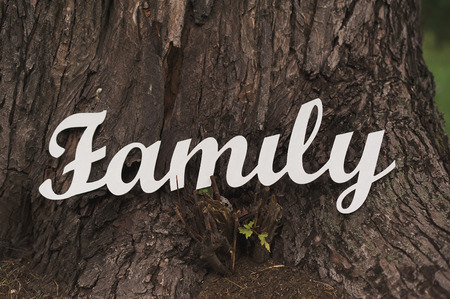 Word wedding, white letters. Caption wedding of wooden letters.の写真素材