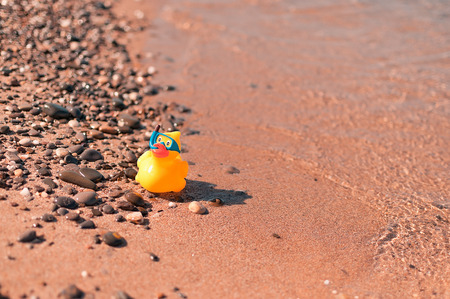 Yellow rubber duck on sand beachの写真素材
