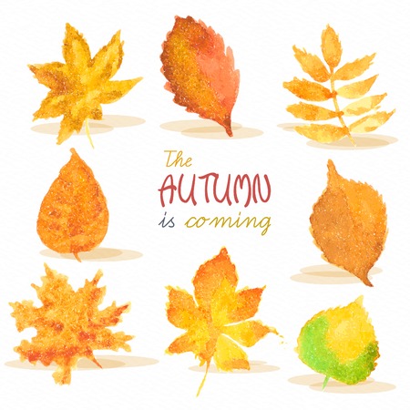Season of rains. Greeting card. Fall. Watercolor autumn red, yellow, green leaves on paper background.のイラスト素材