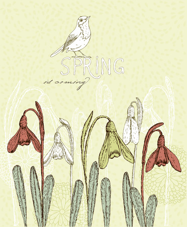 Spring flowers, Snowdrops Greeting Card for March 8のイラスト素材