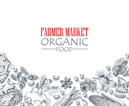 Organic food. Set of vegetables, fruits and spices. Farm meal. Poster. Menuのイラスト素材