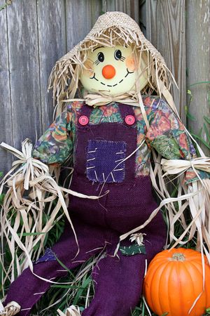 A scarecrow sitting in a garden, leaning against a wood fence. He has a pumpkin beside him.の写真素材