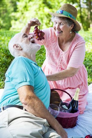 Senior couple on a romantic picnic in the park.  She is feeding him grapes.の写真素材