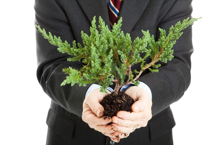 Businessman, unafraid to get his hands dirty, holding a bonsai tree.  Symbolizes the union of ecology and business.の写真素材