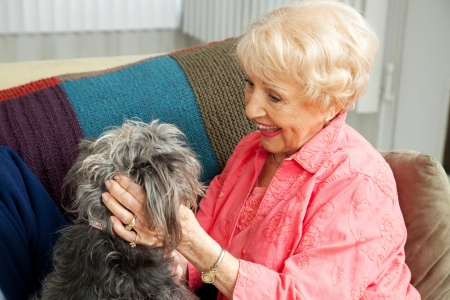 Beautiful senior lady pats her adorable mixed breed dog.  の写真素材